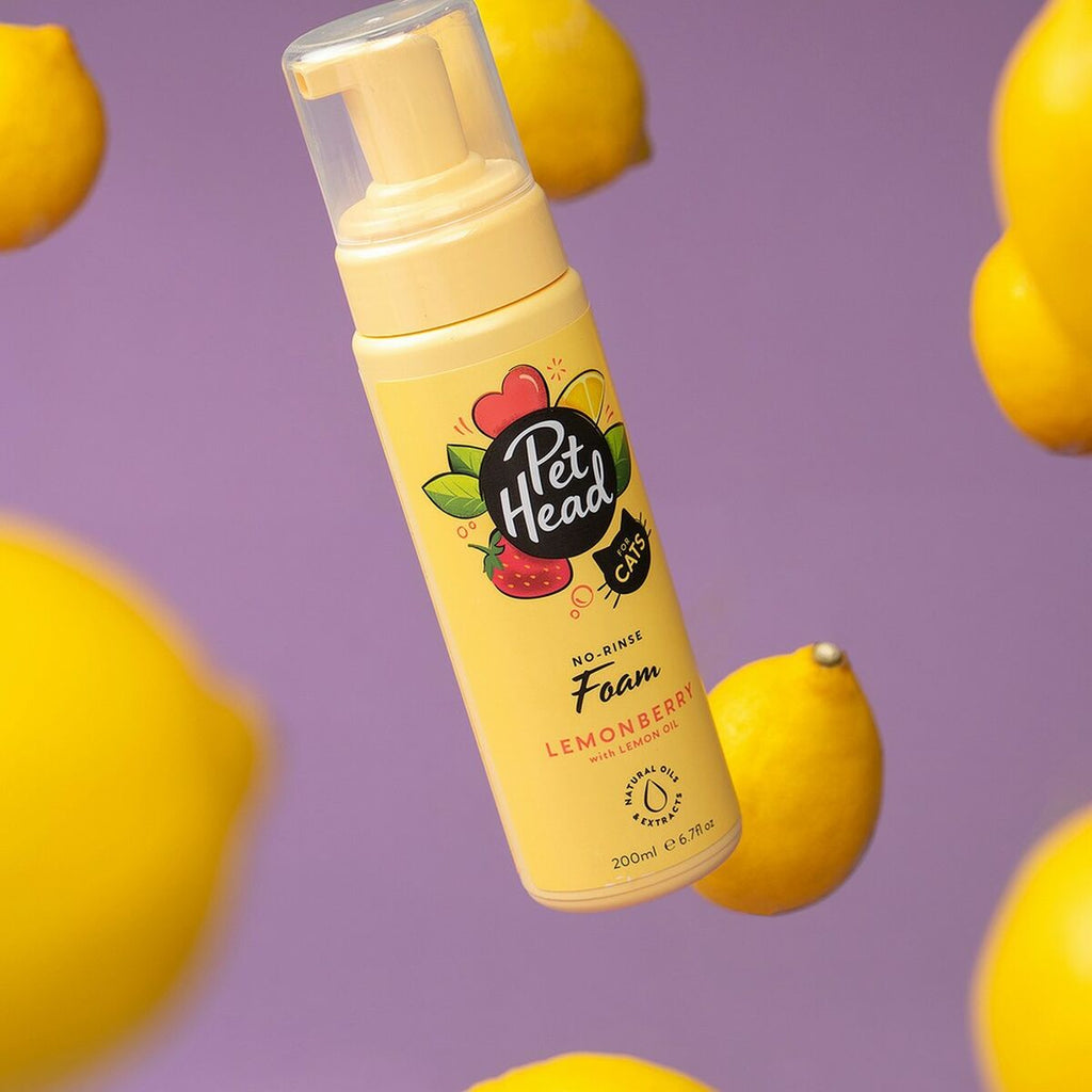 Shampooing Sec Pet Head Felin' Good Mousse pour Chat